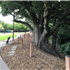 Mape Memorial Park Pathway Relocation Project 