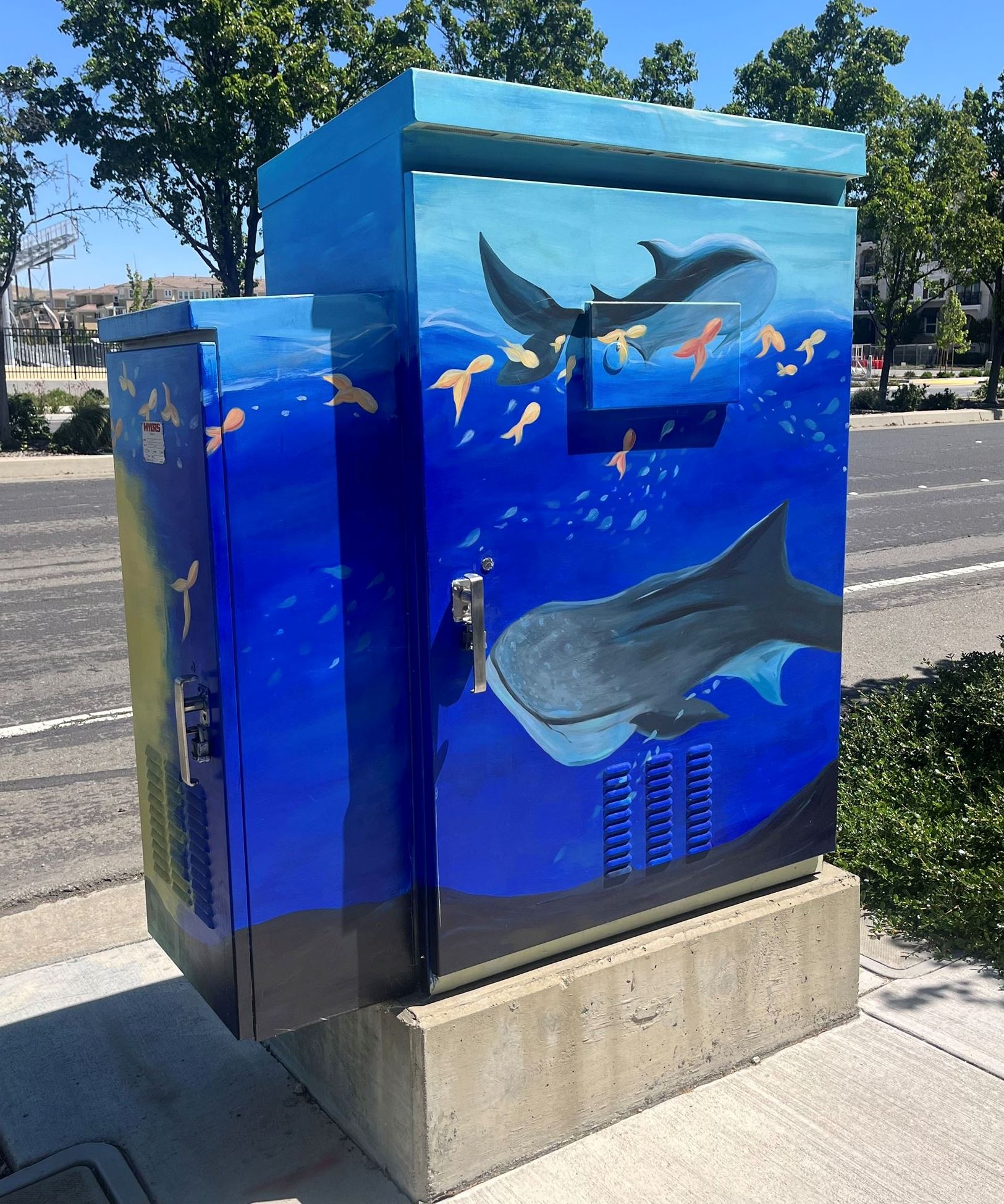 Iris Shen - Observers