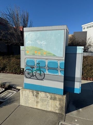 Box 1 Haley Haslim  Spring time on the move